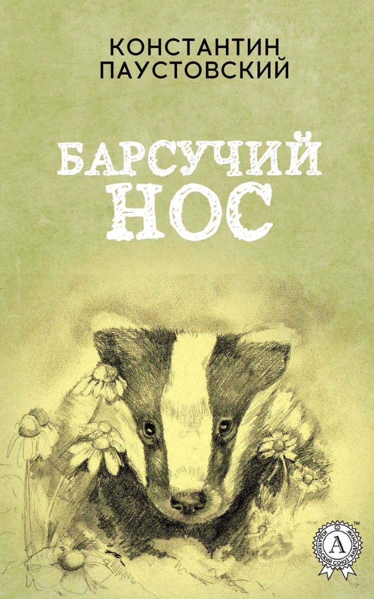 К Паустовский барсучий нос книжка