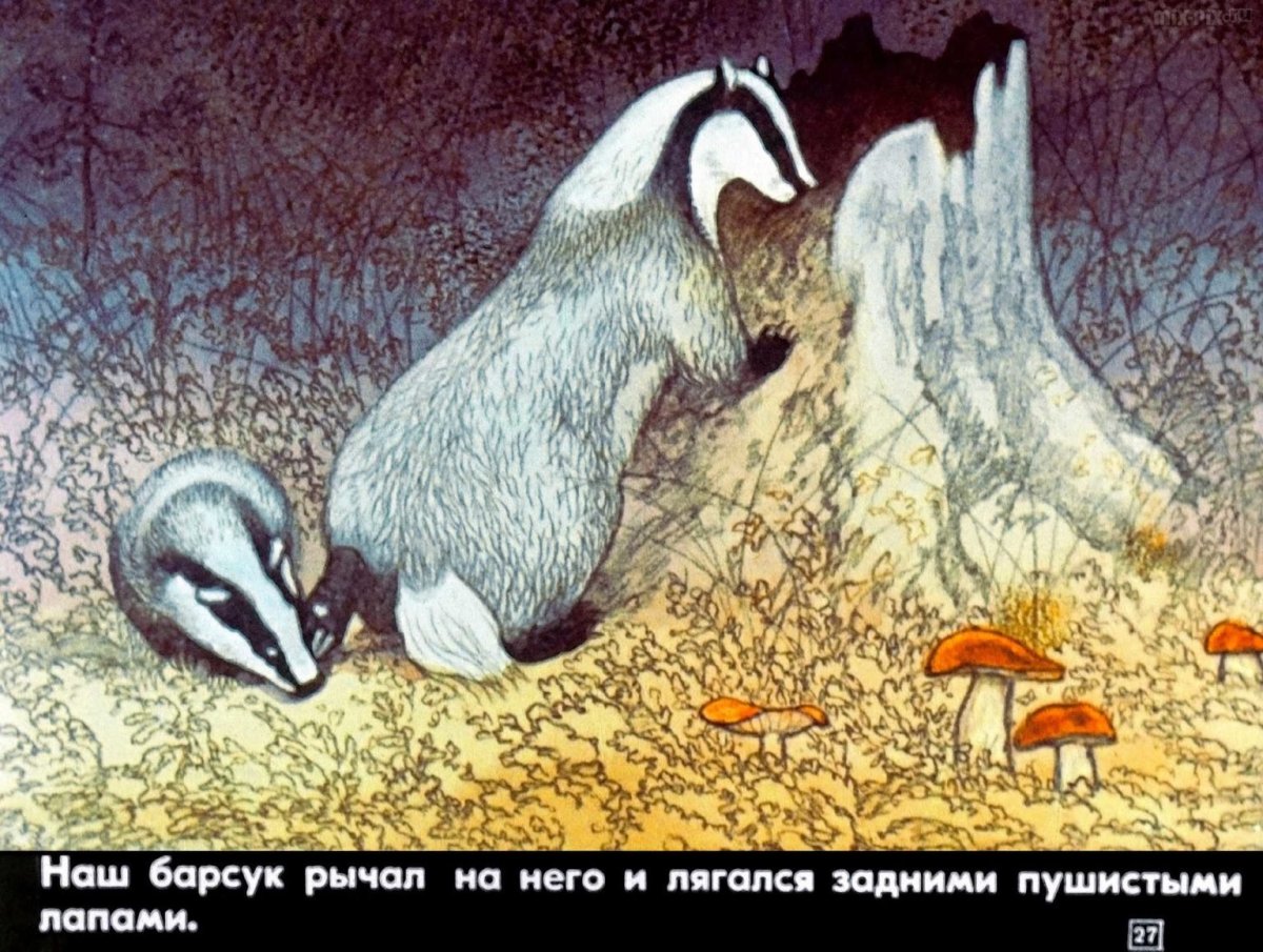 Константин Паустовский барсучий нос