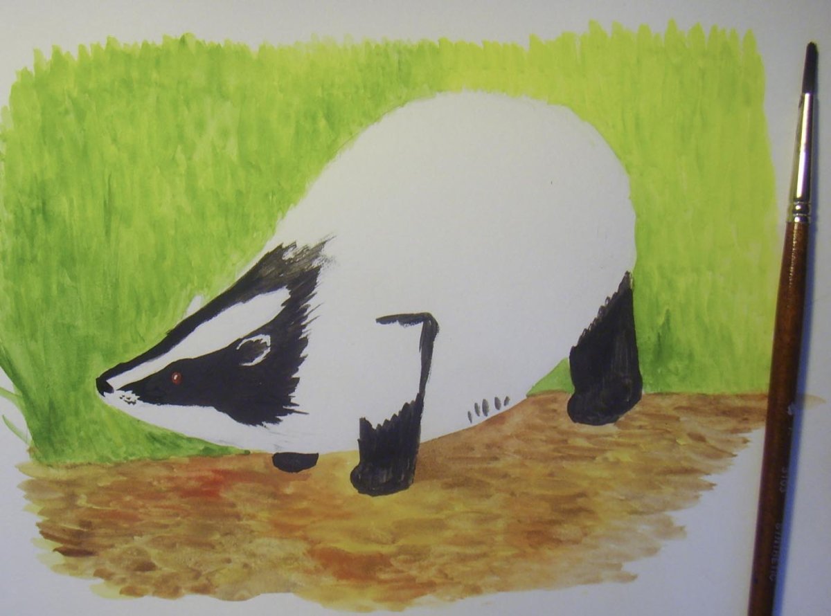 Рисунок барсучий нос Паустовский 3 класс