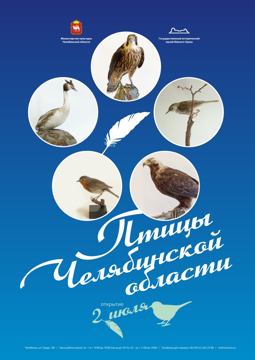 Определитель птиц Челябинской области