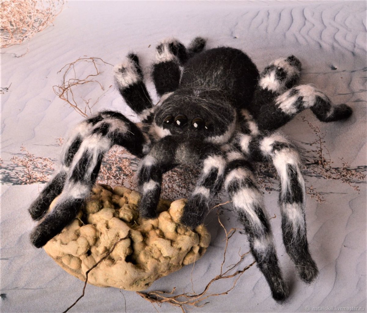 Уральский тарантул