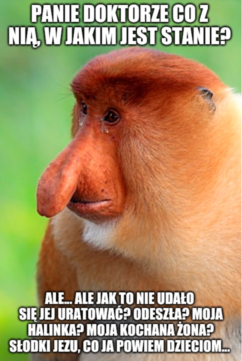 Страшный носач