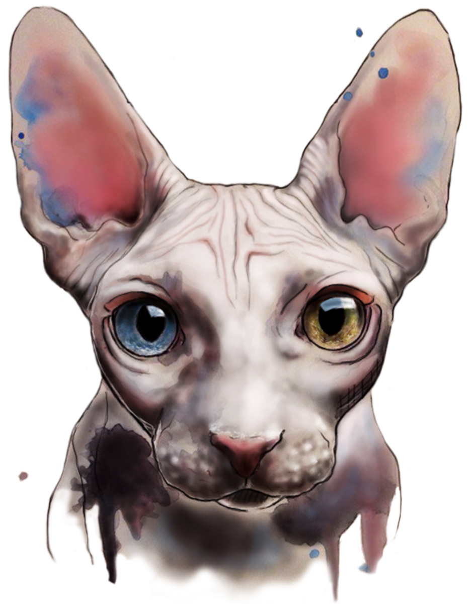 Картина по номерам сфинкс