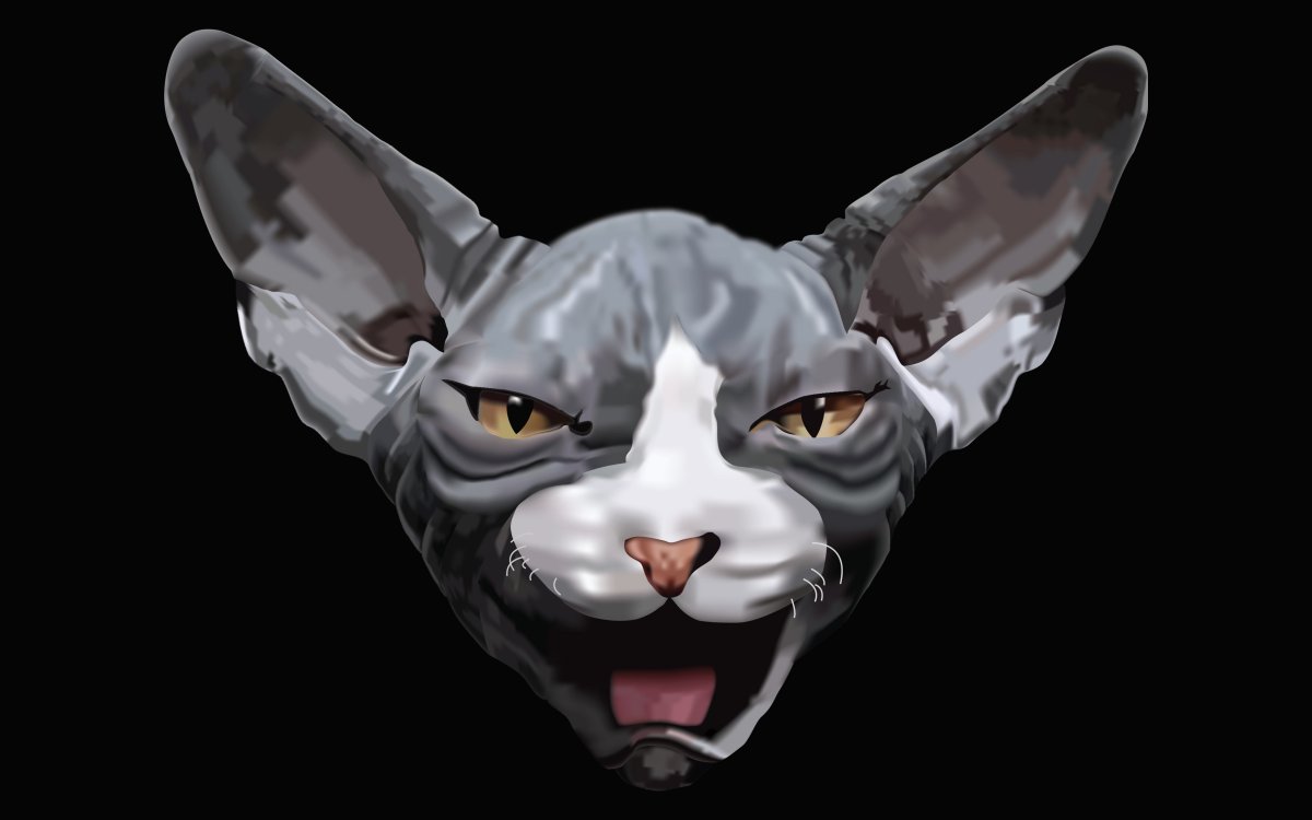 Сфинкс кошка