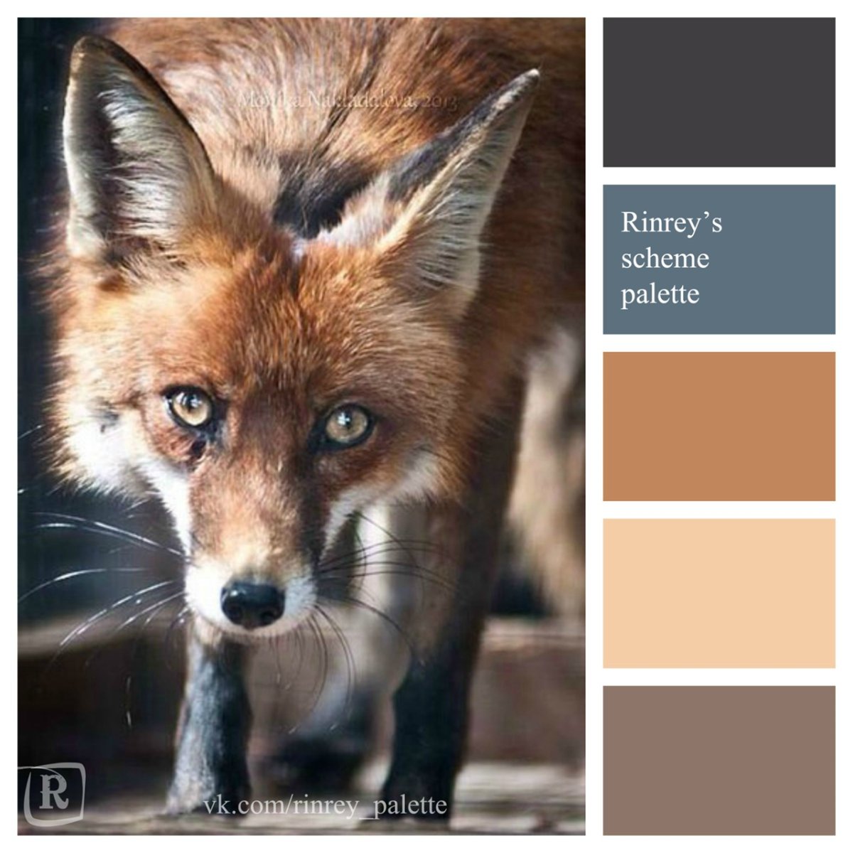 Палитры животных