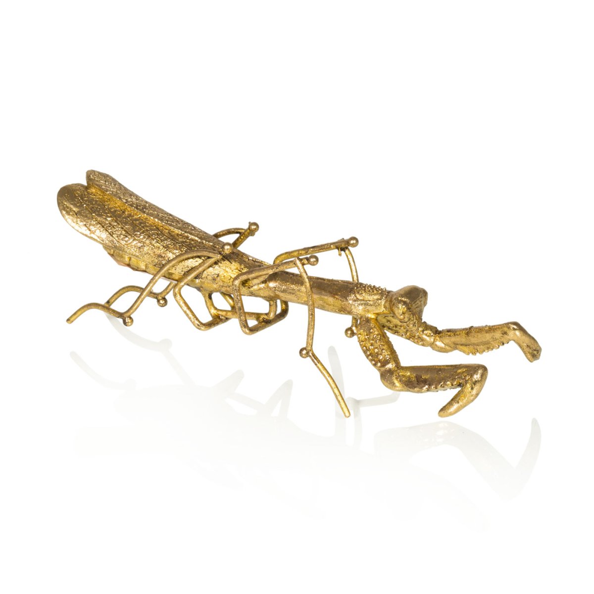 Золотой богомол