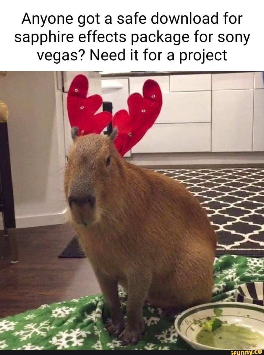 Капибара милота