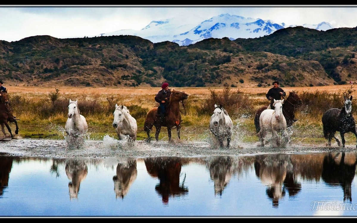Гаучо Патагония