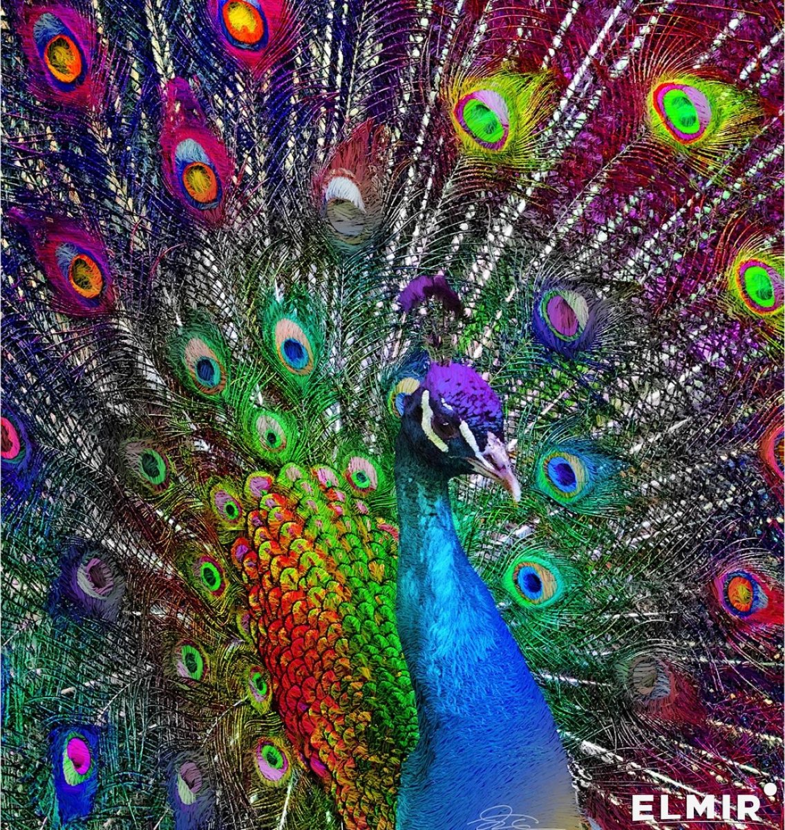 Шикарный Павлин