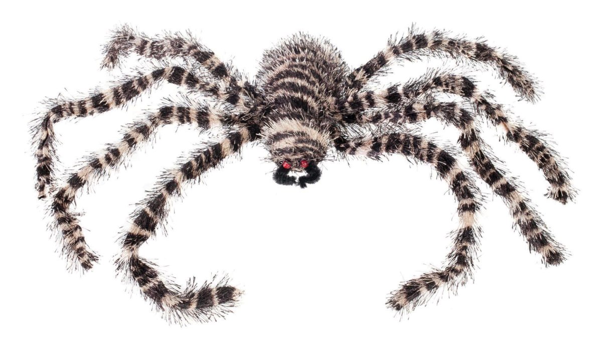 Паук полосатый бело-черный