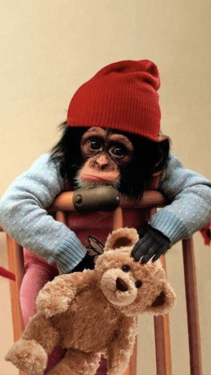 Наряженная обезьяна