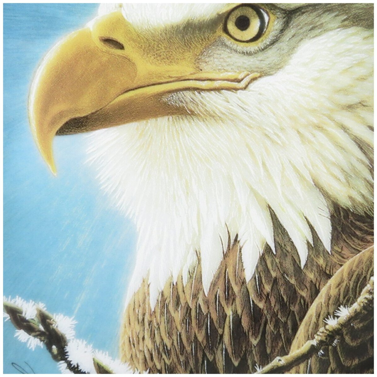 С днем рождения Орлан