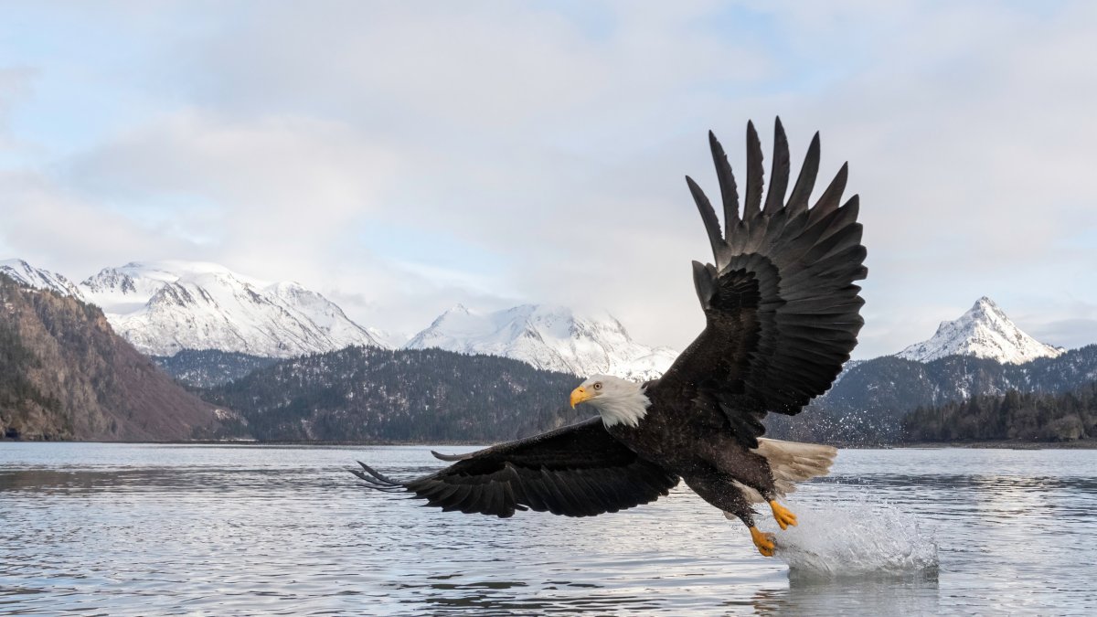 Обои для рабочего стола 4к небо горы Заря