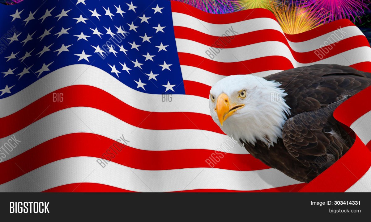 Орлан на американском флаге обои на телефон