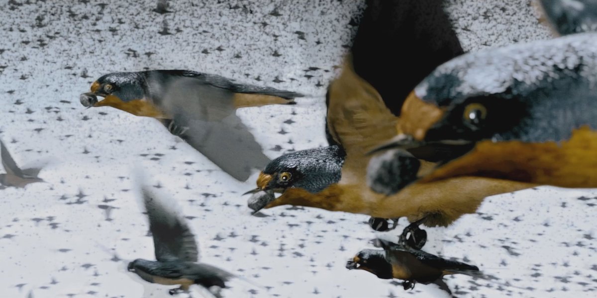 История слона Абрахи