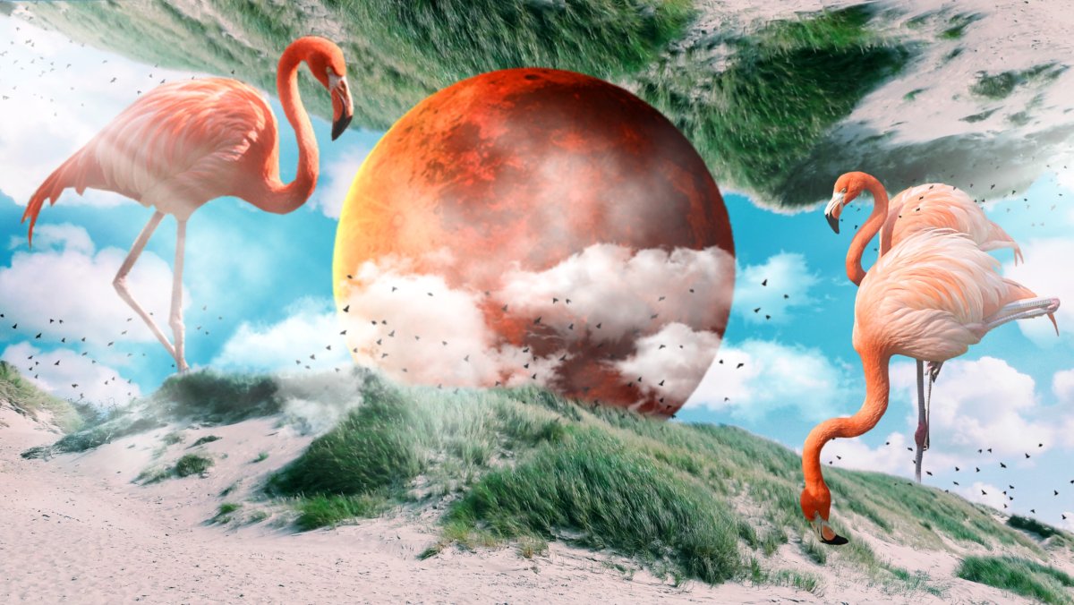 Розовый Фламинго