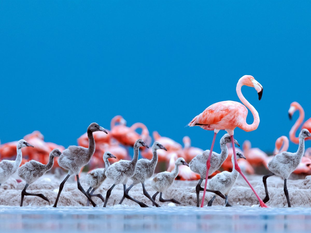 Эстетичный рабочий стол на компьютере