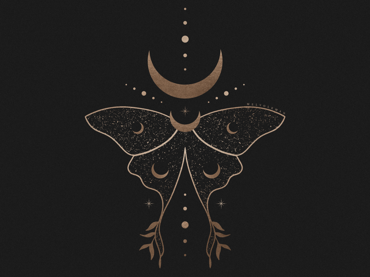 Тату мотылек Минимализм