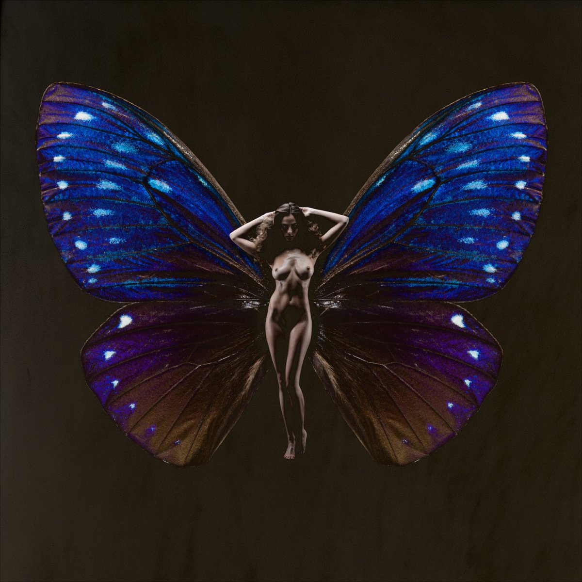 Роден ночная бабочка