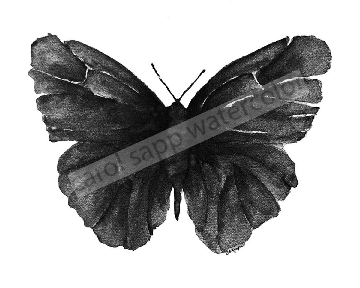 Бабочка черная