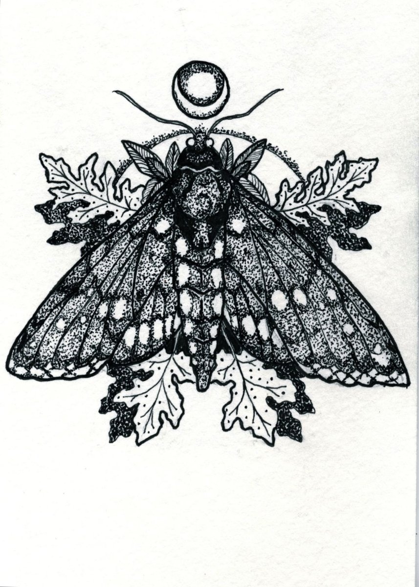 Мотылек тату эскиз