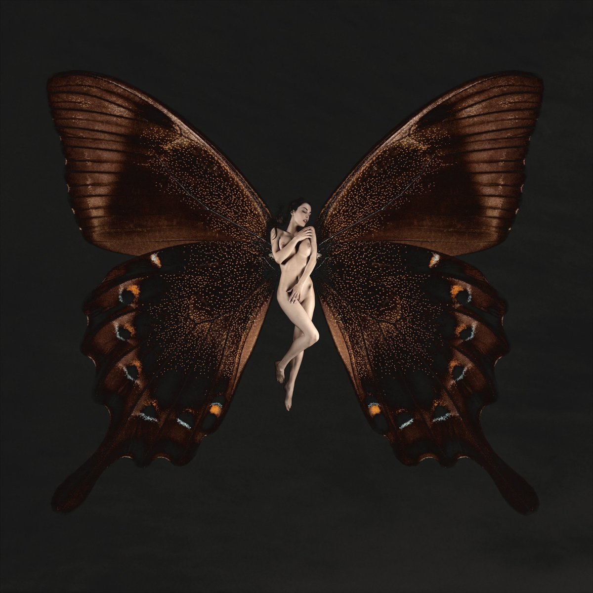 Карстен Витте бабочки