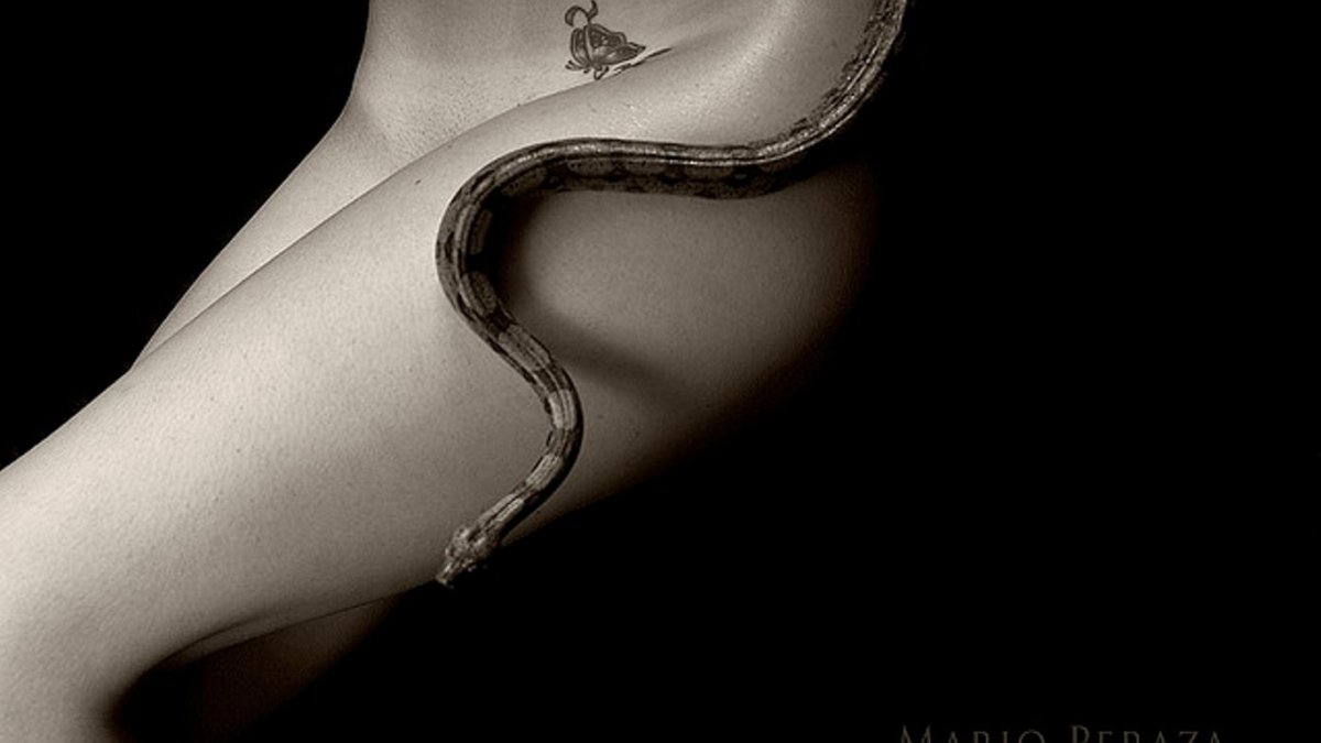 Змеи Эстетика