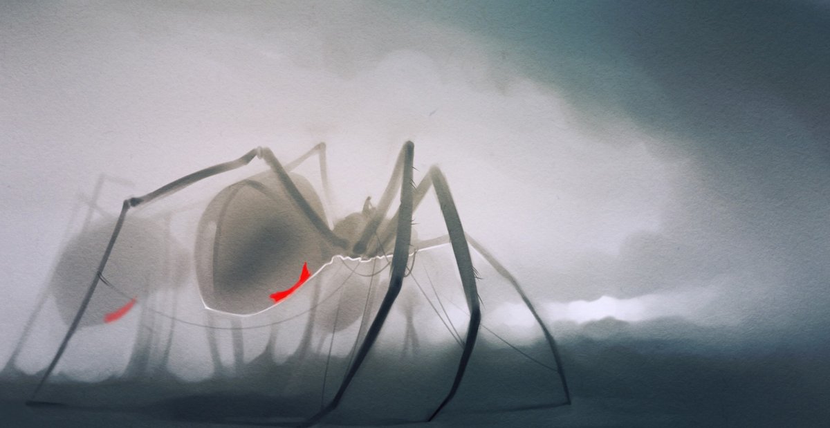 Белый кокон паука