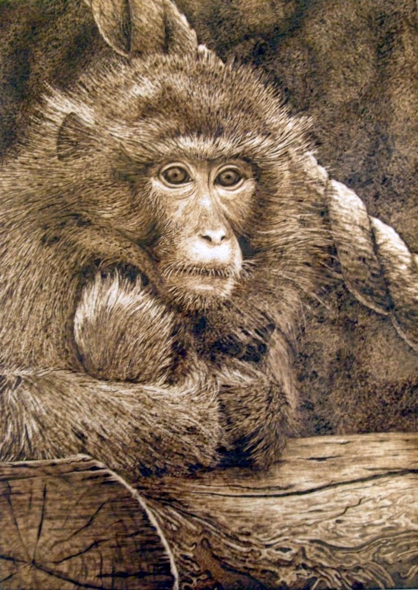 Картины по номерам задумчивая обезьяна