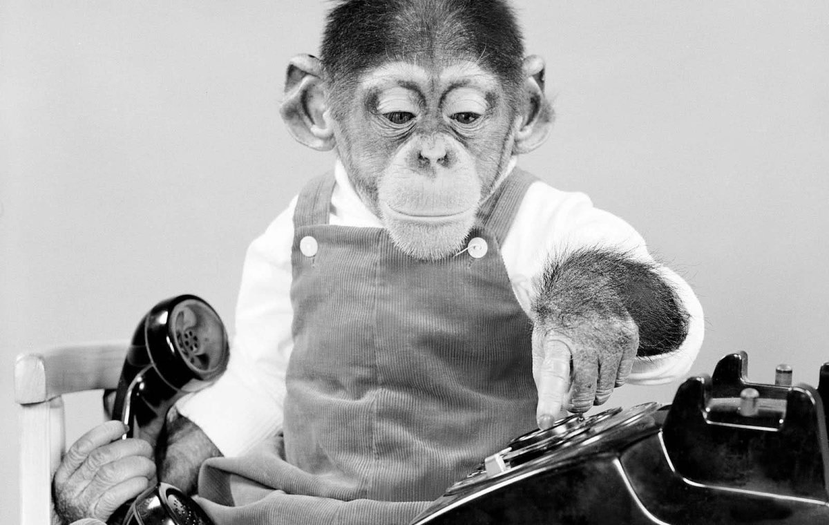 Обезьяна с трубкой