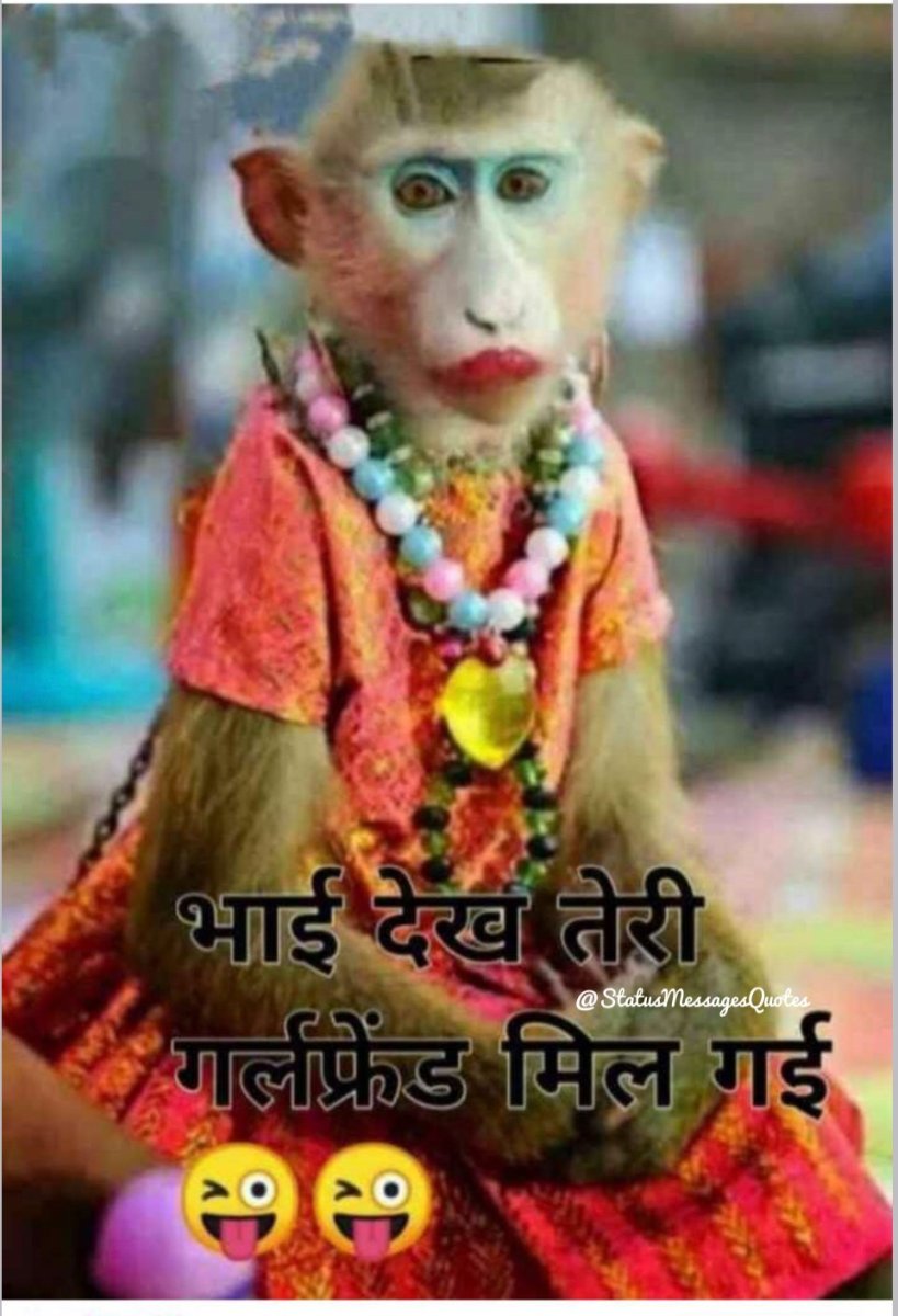 Крашеная обезьянка