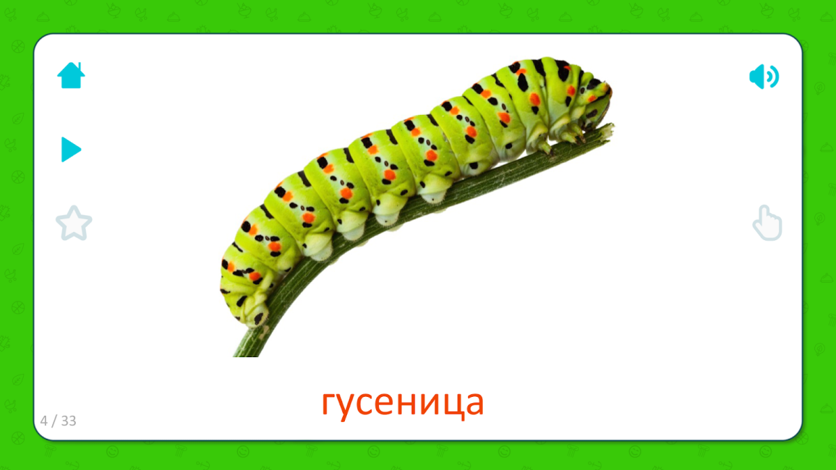 Гусеница карточки Домана