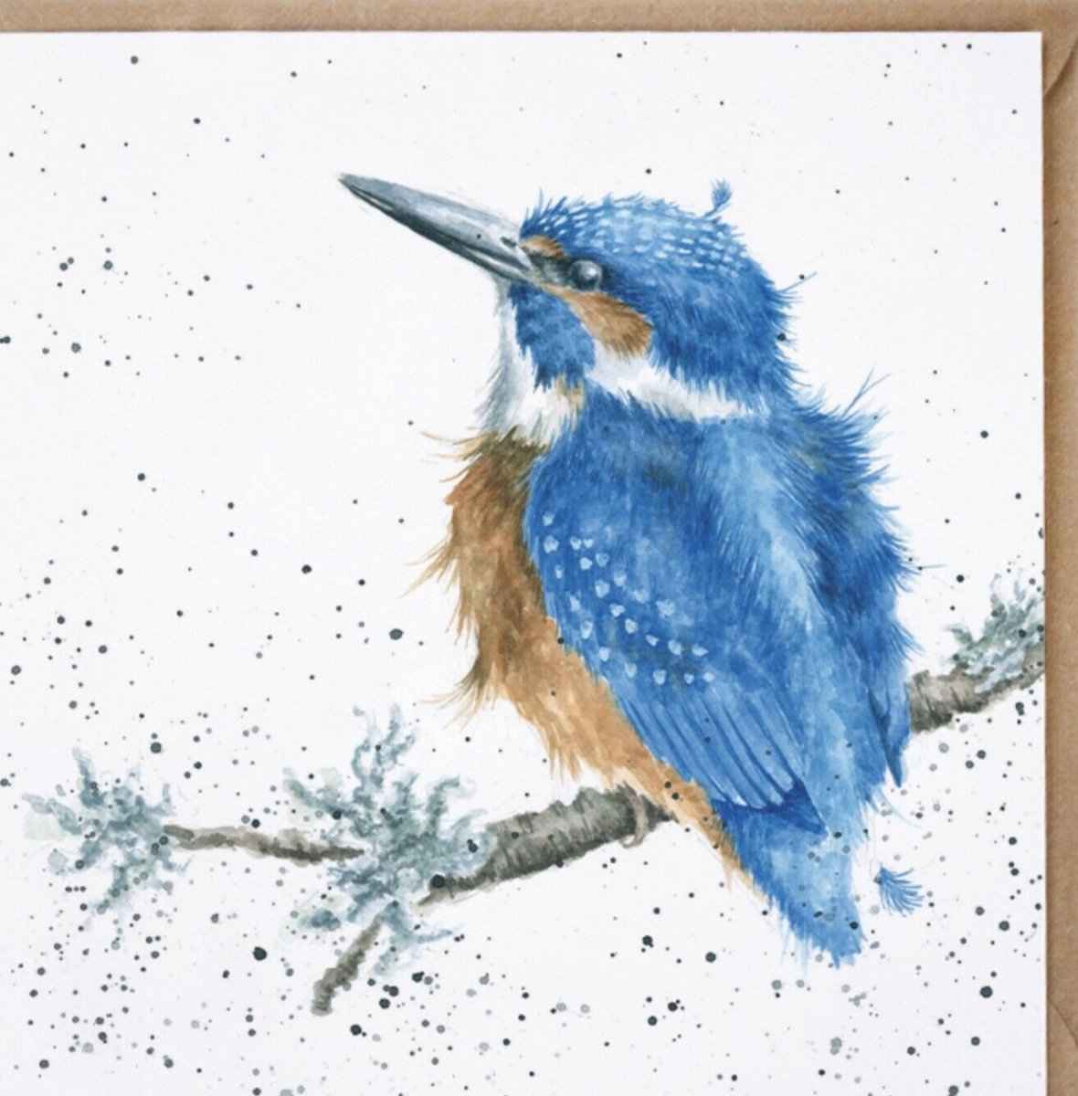 Художник Ханна Дейл птицы