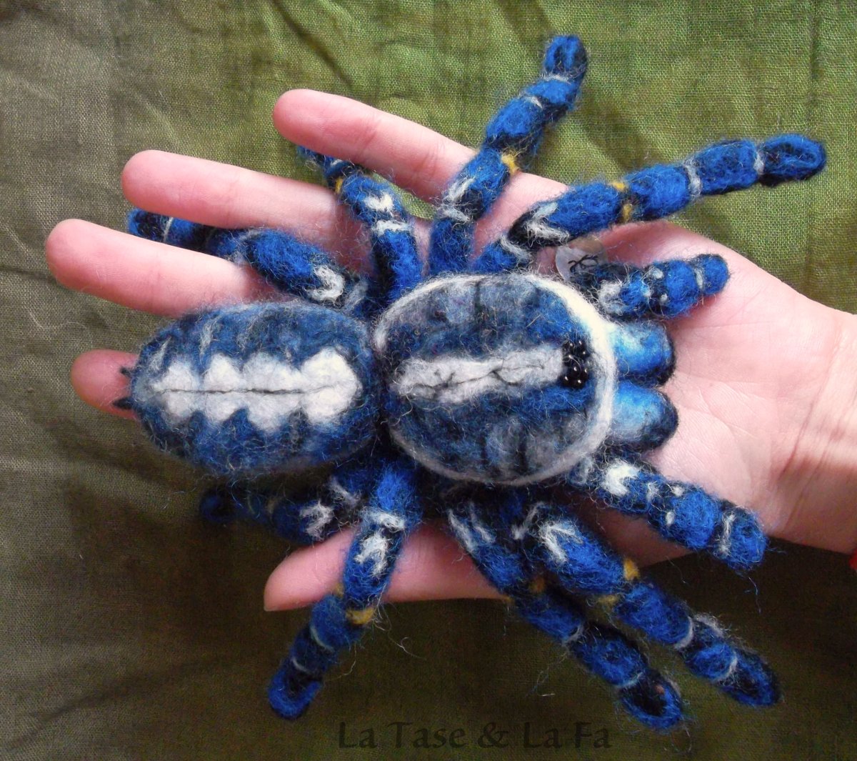 Poecilotheria Metallica паук