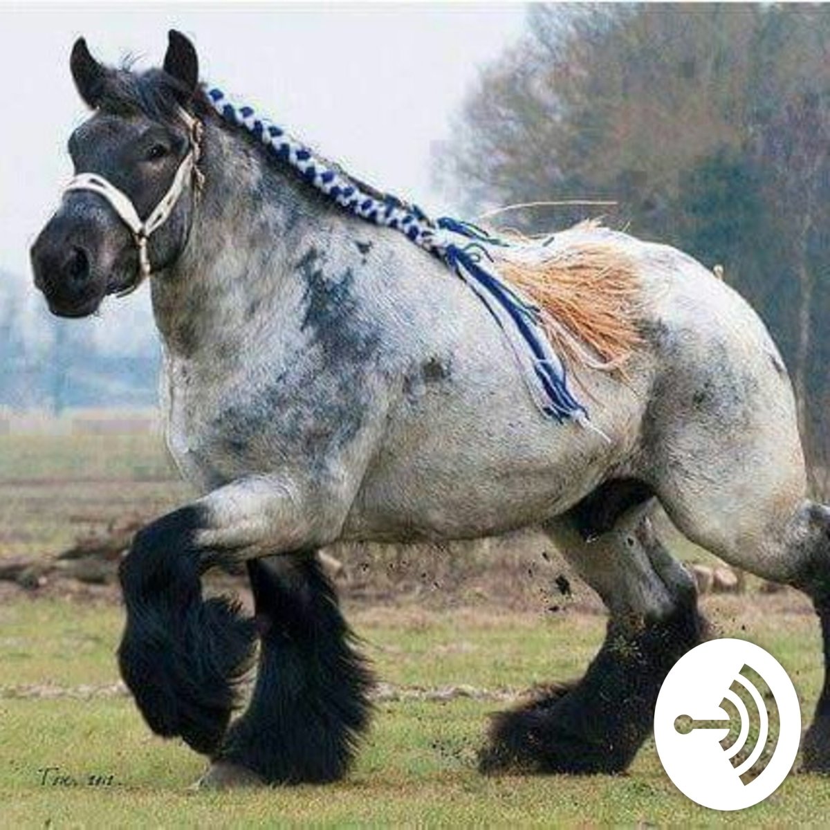 Арденская - древняя порода тягловых лошадей.