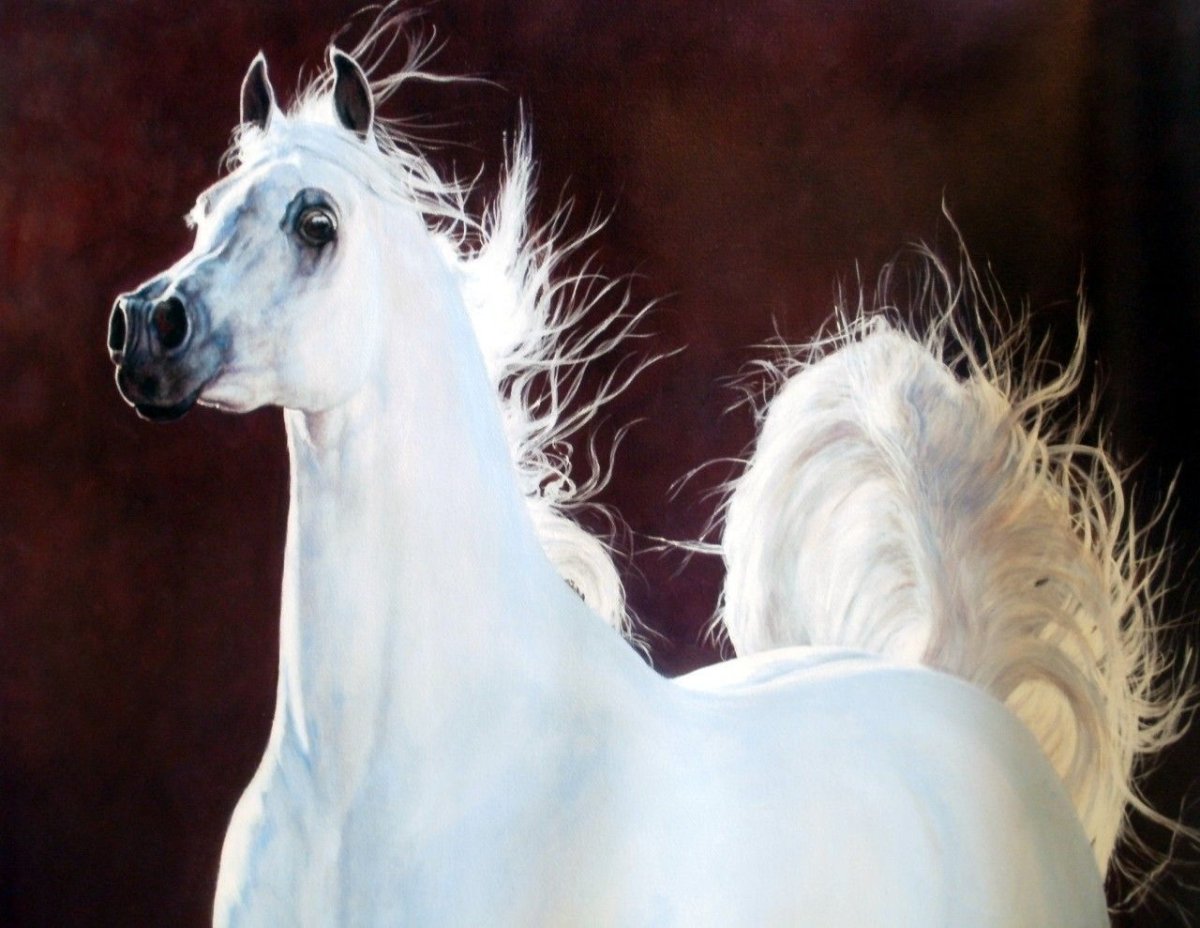 Арабская лошадь портрет