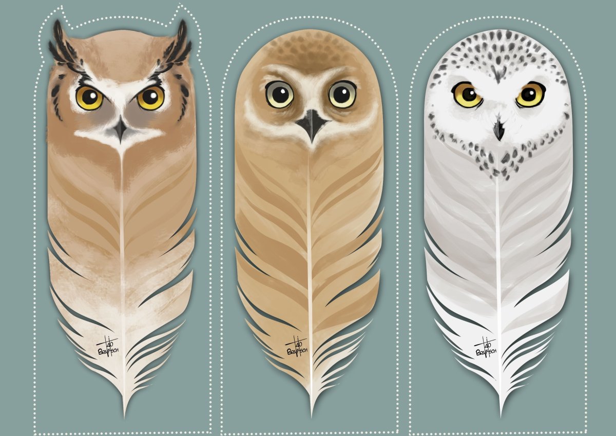 Закладки Гарри Поттер Сова