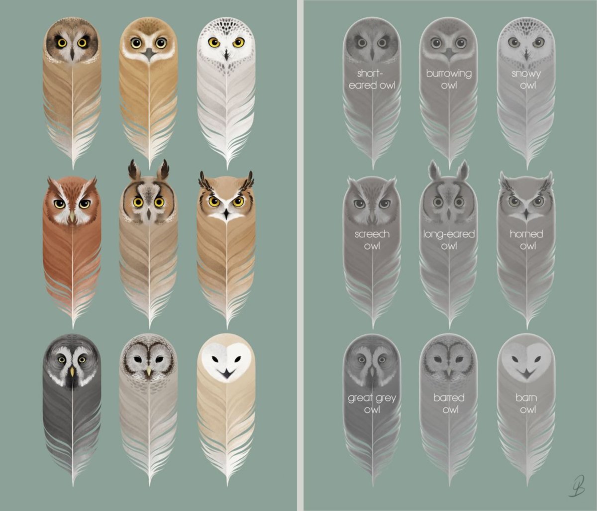 Закладки Гарри Поттер Сова