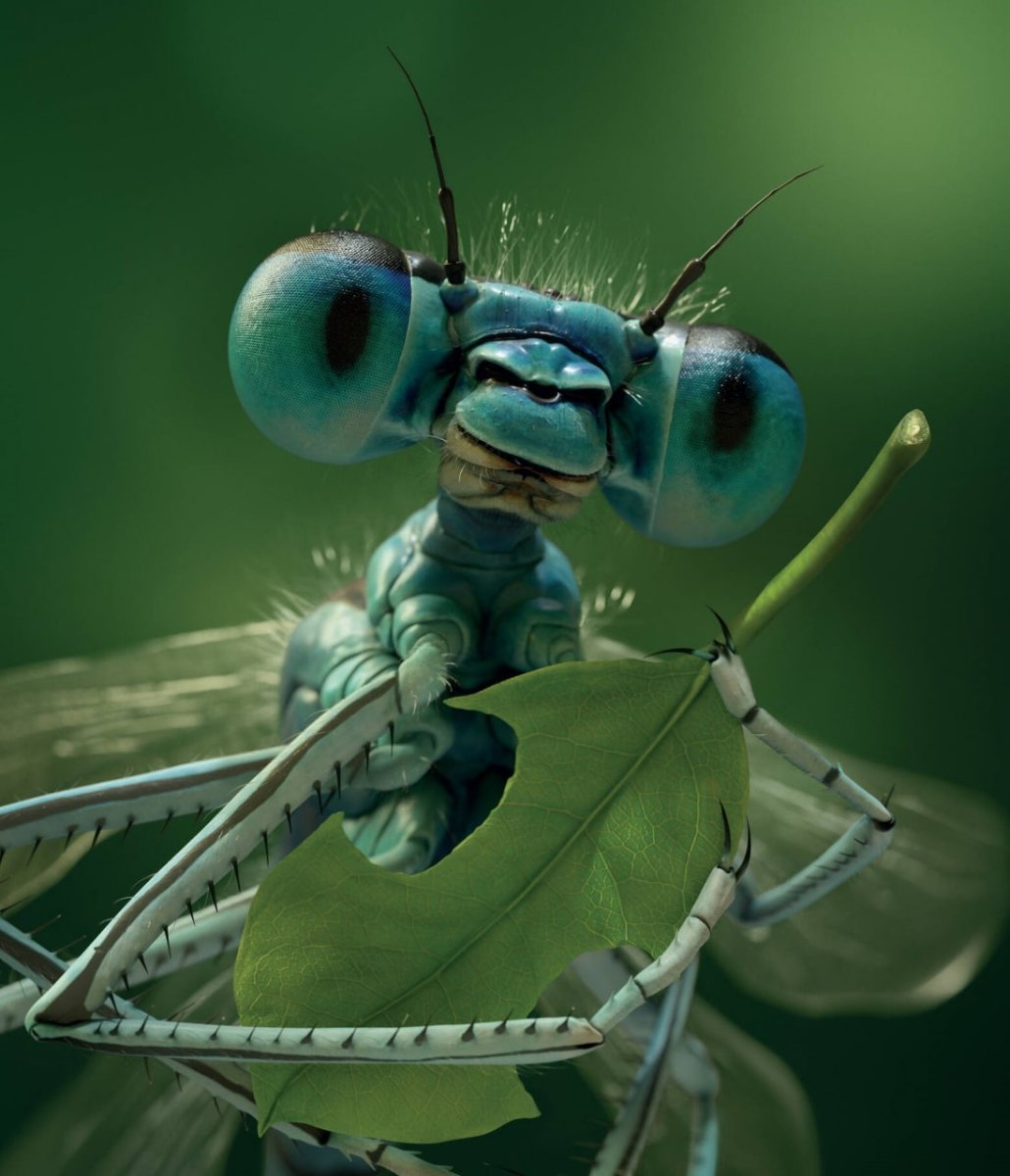 Забавные Стрекозы