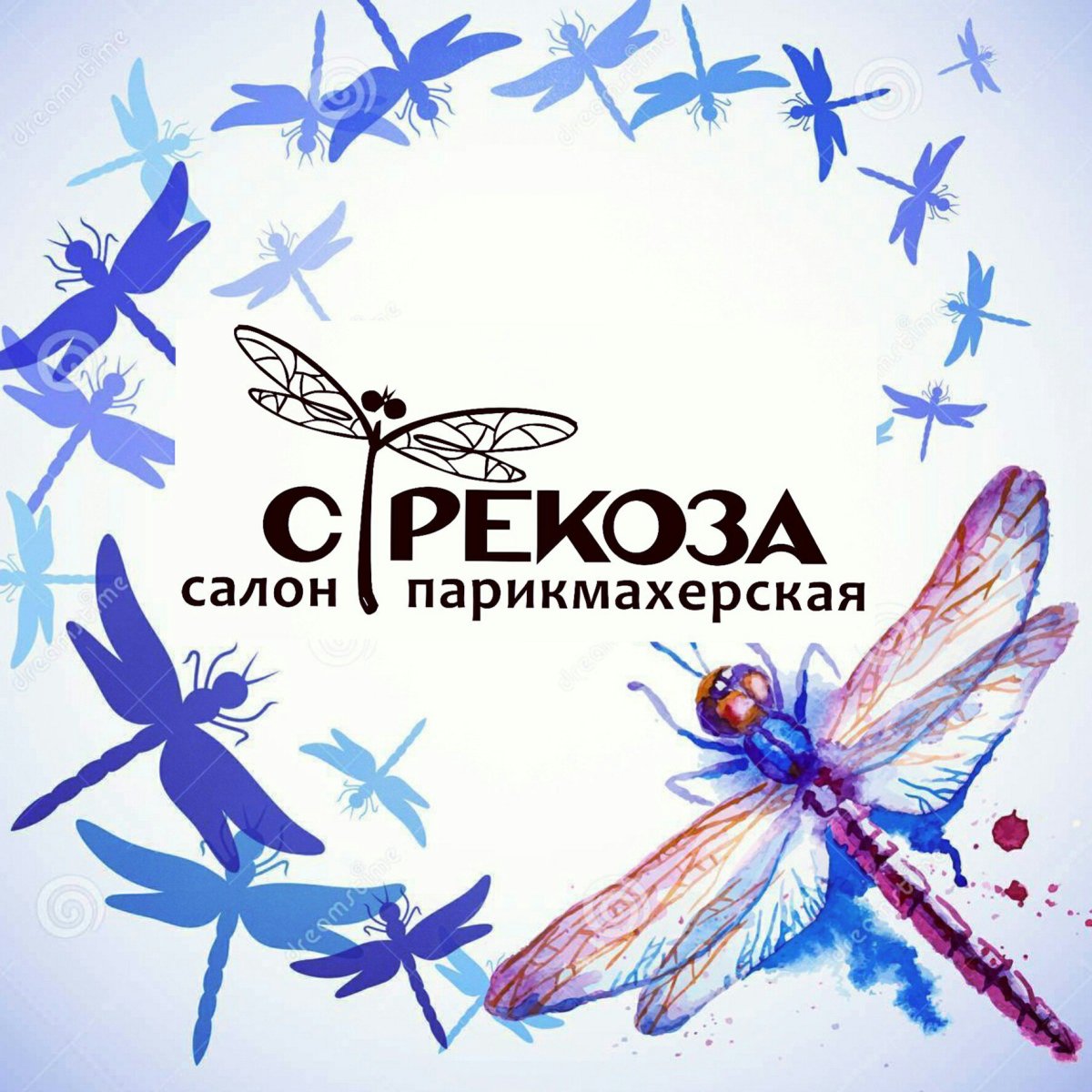 Стрекоза вывеска