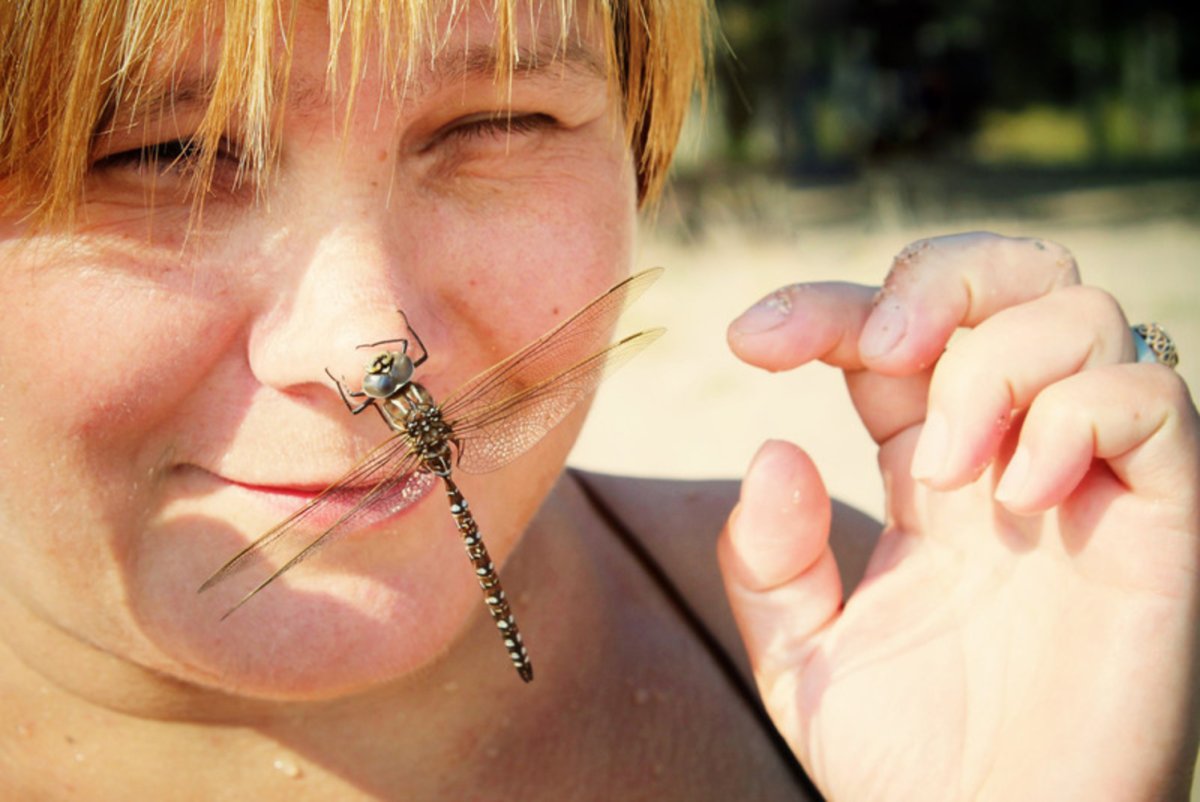 Стрекоза на носу