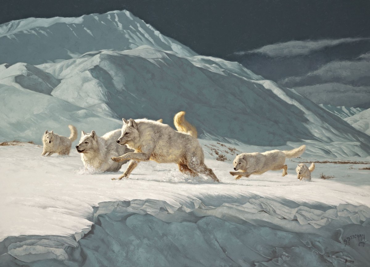 Художник Грег Beecham волки