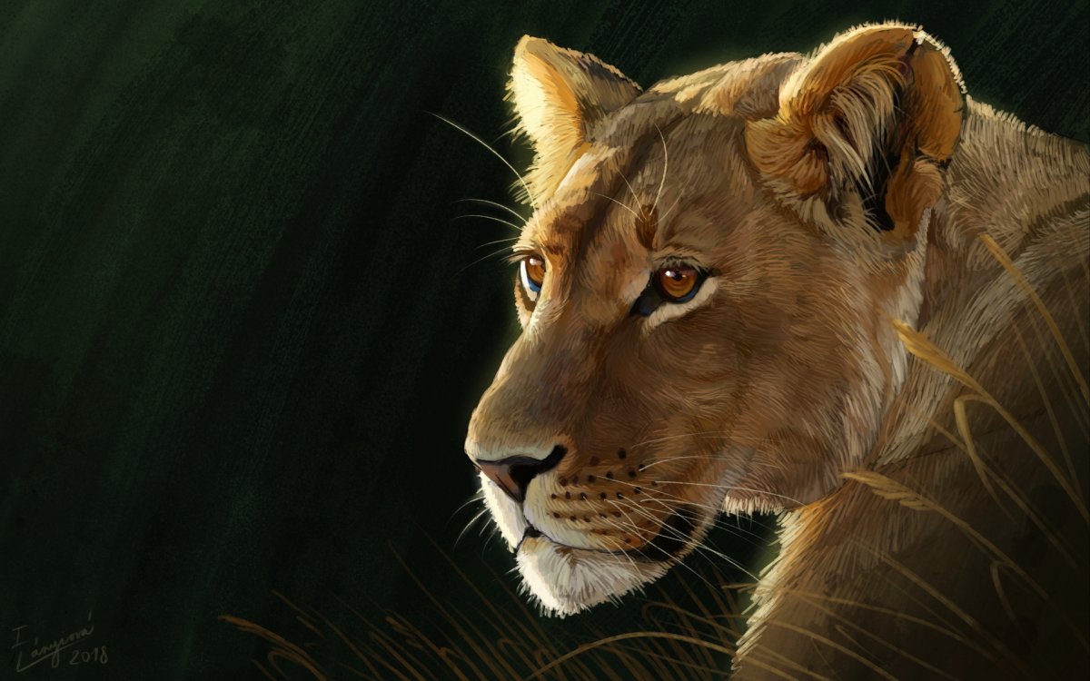 Львица в профиль