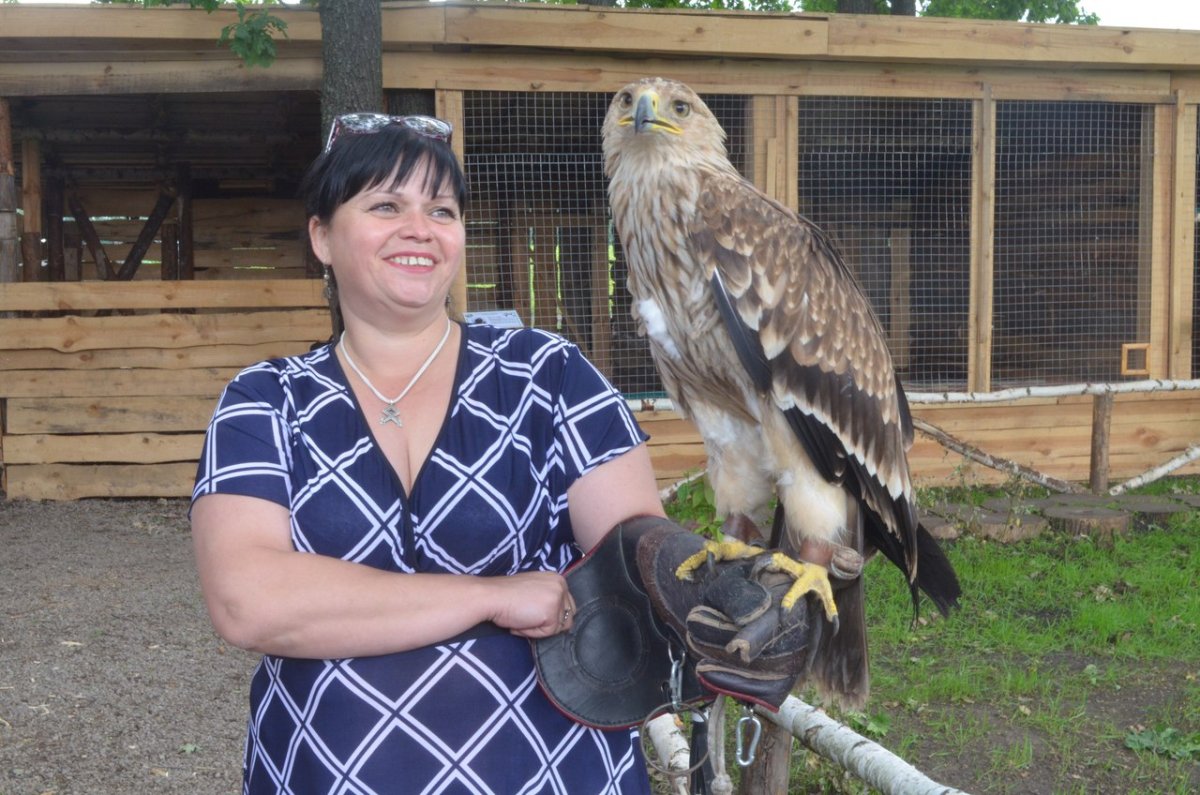 Птицы Тамбова