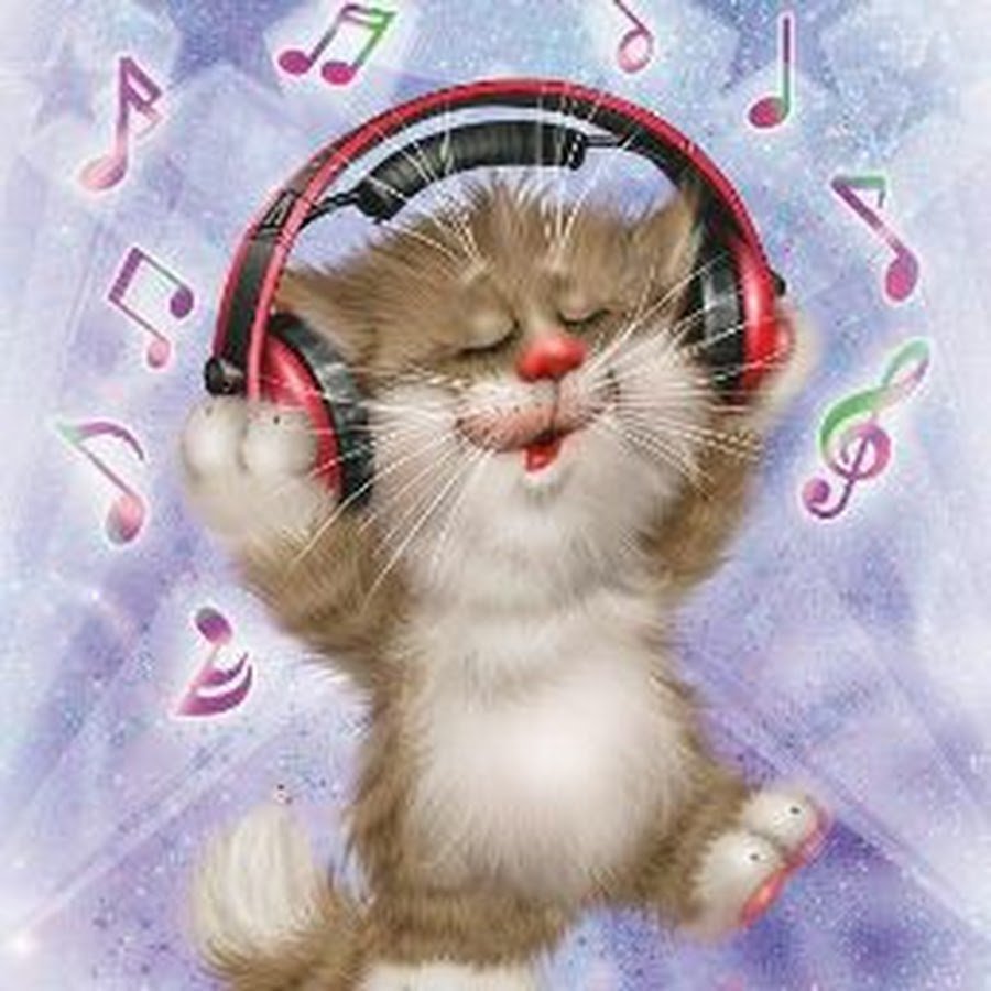 Анимированные коты Алексея Долотова