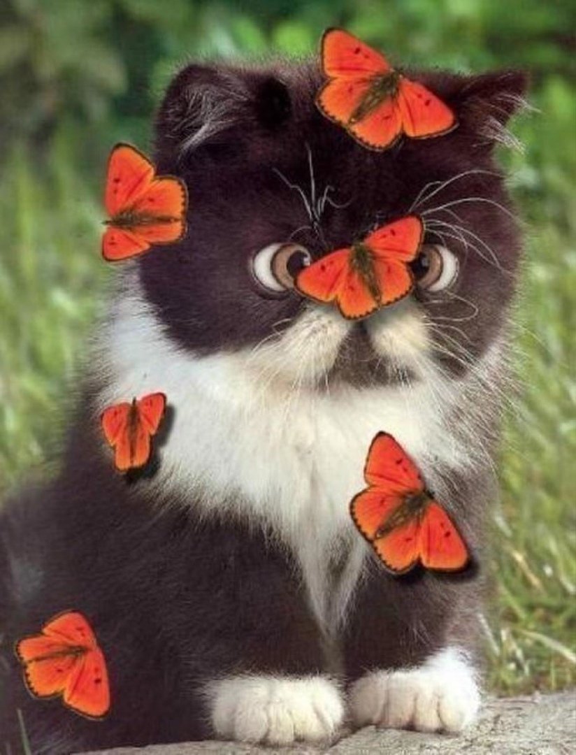 Цветочек для настроения