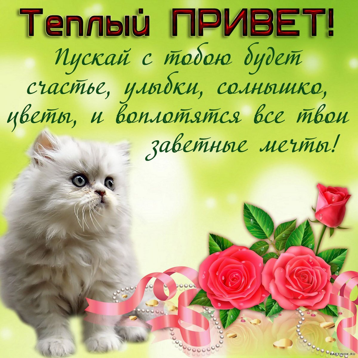 Красивое Приветствие