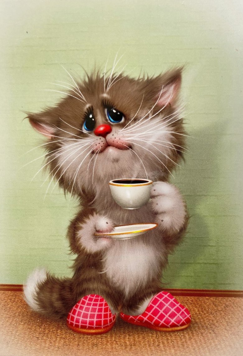 Котики Долотова