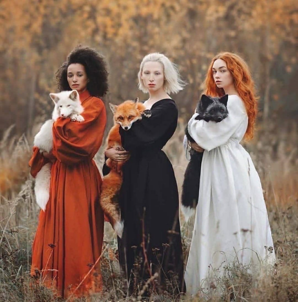 Анастасия Добровольская три девушки с лисами