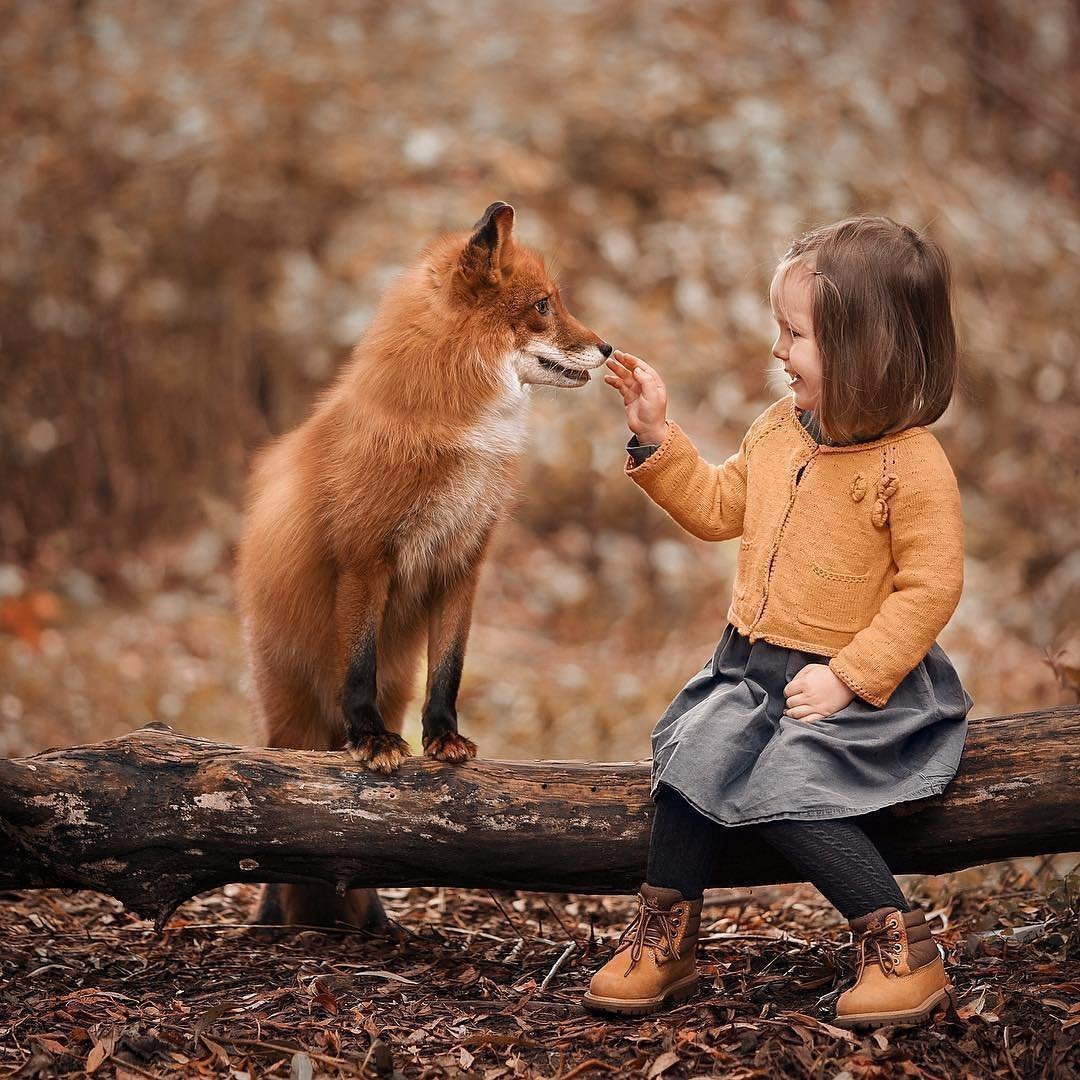 Для детей. Животные